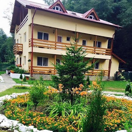 Pensiunea La Padure Cheia, Prahova Hotel Măneciu Kültér fotó