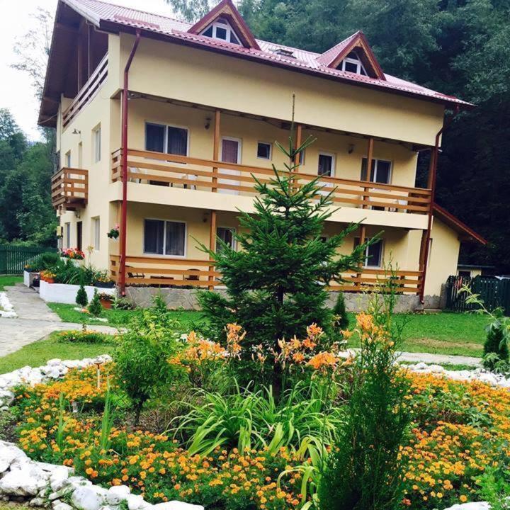Pensiunea La Padure Cheia, Prahova Hotel Măneciu Kültér fotó