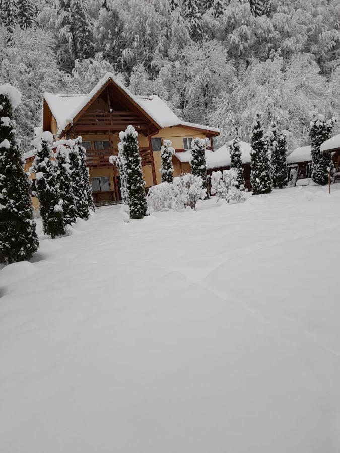 Pensiunea La Padure Cheia, Prahova Hotel Măneciu Kültér fotó