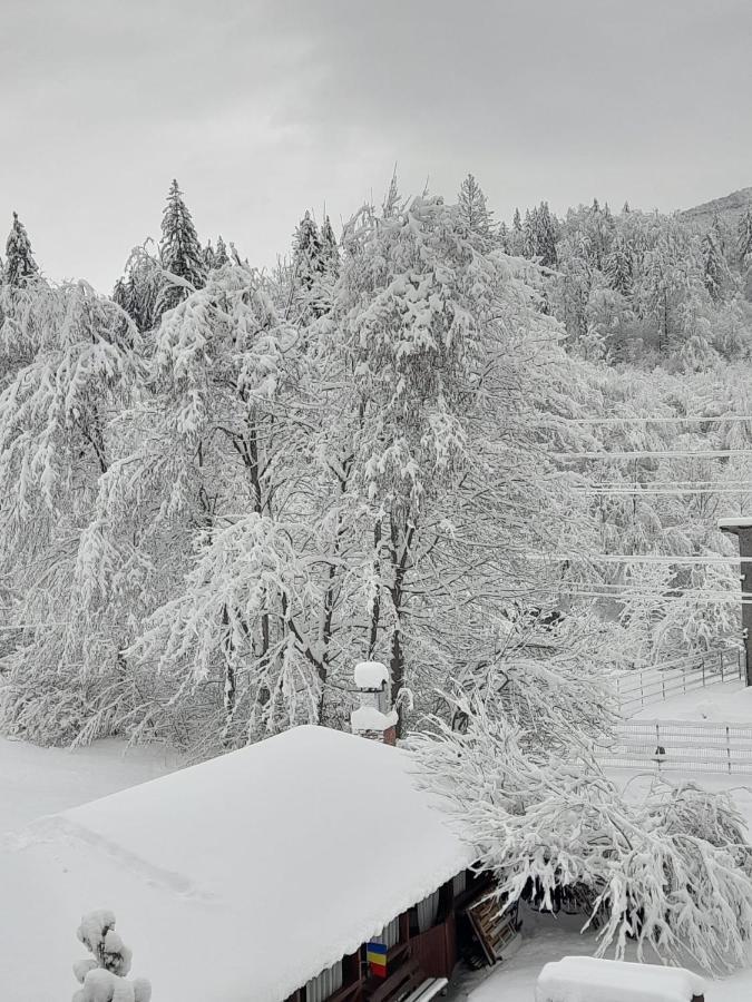 Pensiunea La Padure Cheia, Prahova Hotel Măneciu Kültér fotó