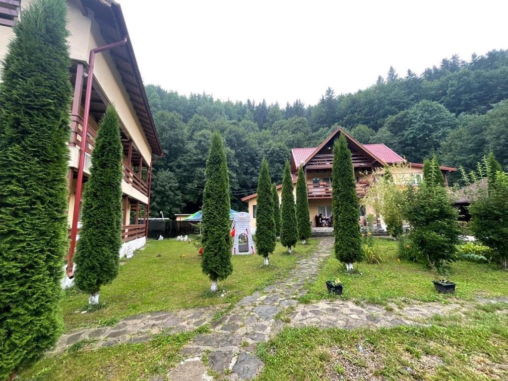 Pensiunea La Padure Cheia, Prahova Hotel Măneciu Kültér fotó