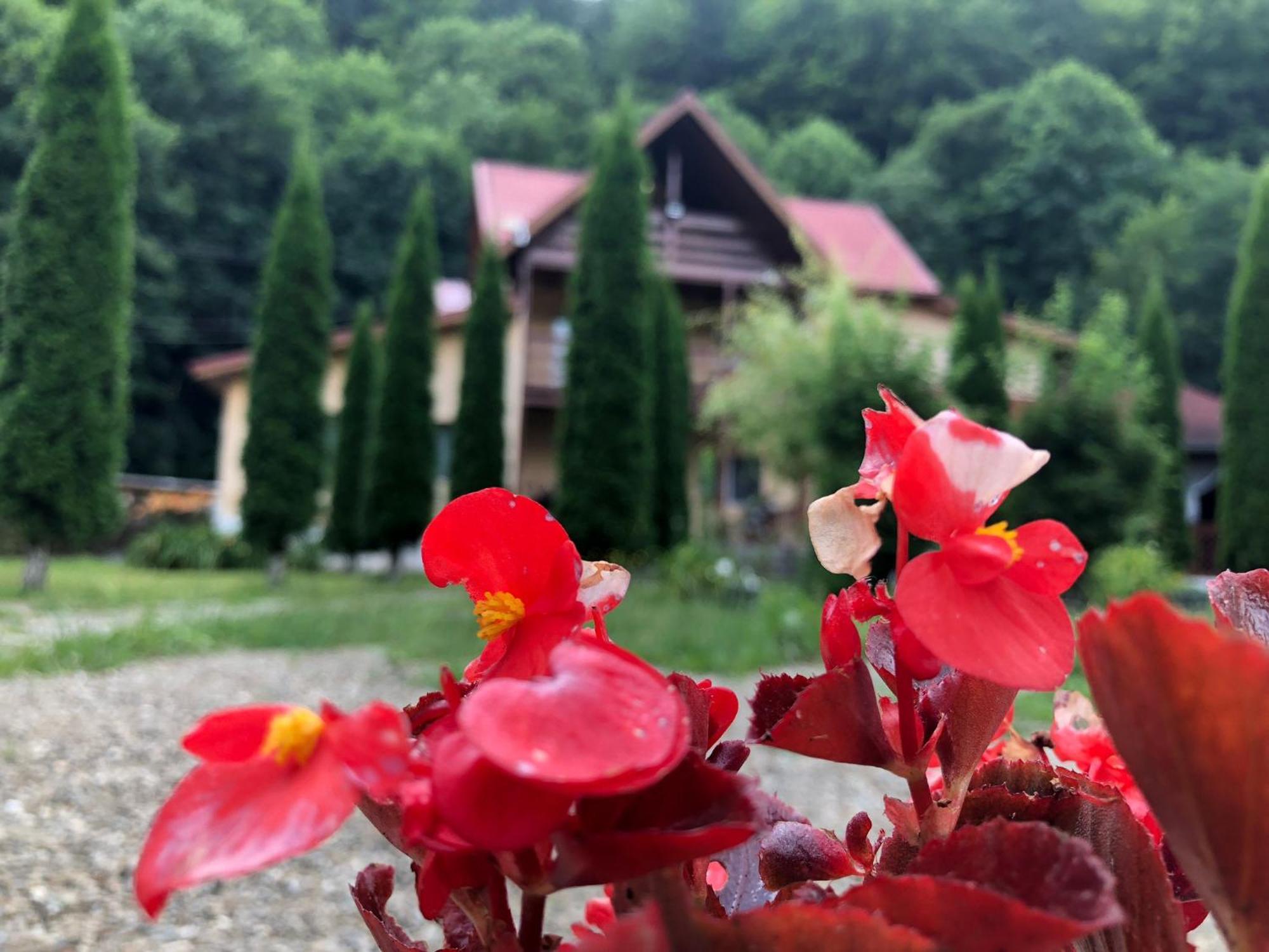 Pensiunea La Padure Cheia, Prahova Hotel Măneciu Kültér fotó