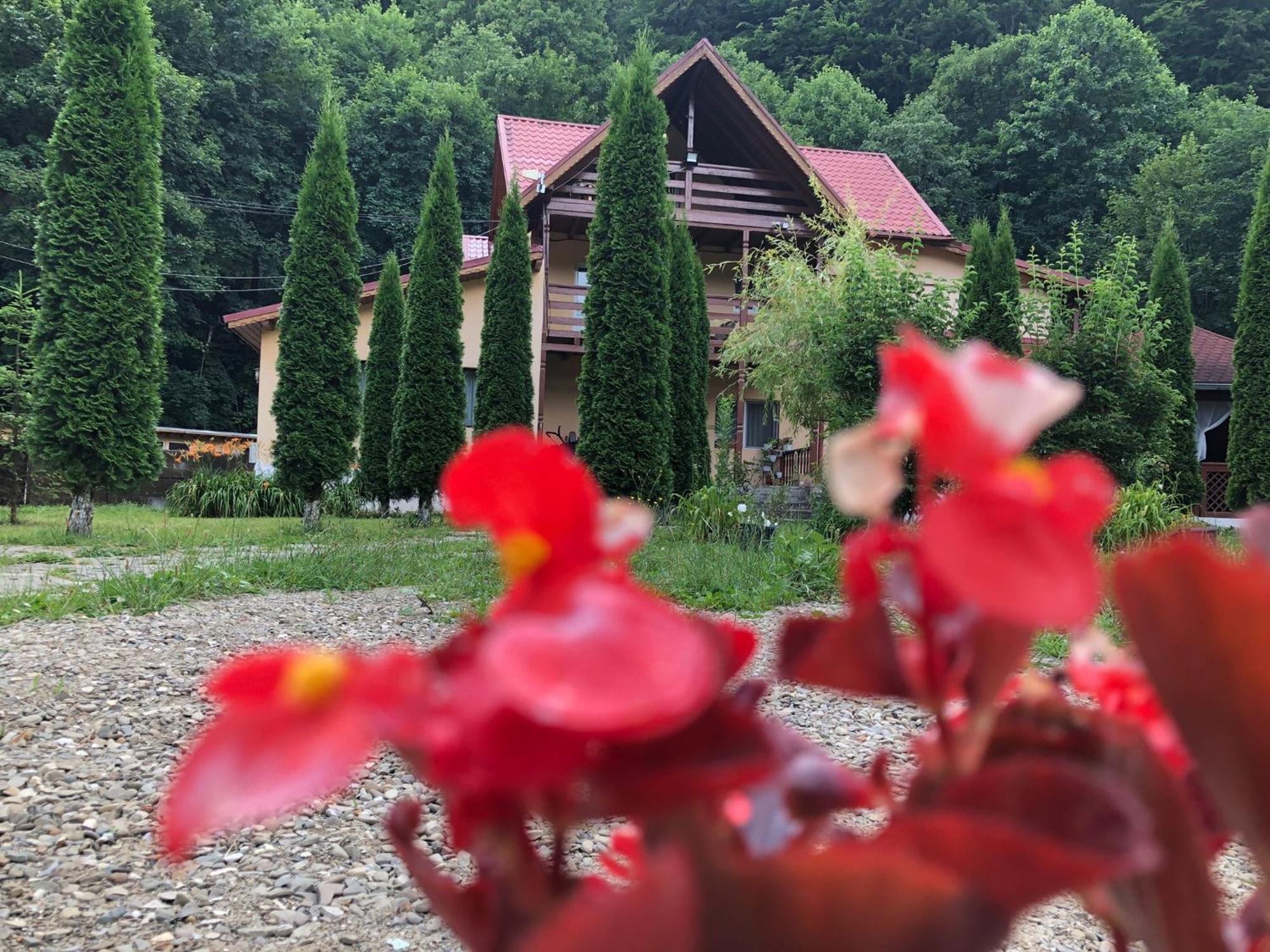 Pensiunea La Padure Cheia, Prahova Hotel Măneciu Kültér fotó